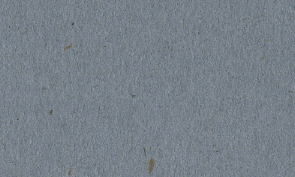 OKカイゼル 藤 80kg