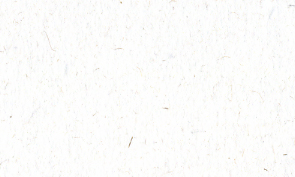 OKカイゼル 雪 80kg