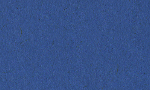 OKカイゼル ルリ 80kg