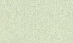 OKカイゼル 若草 80kg