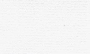 コンケラーレイドN ブリリアントホワイト 293.8kg