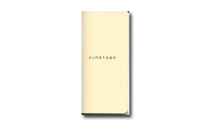 スマホがあるのに何故か手書き(sumatega)手帳-レモン