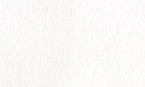 ニューラグリンS スノー 146kg 55x91mmT 576枚