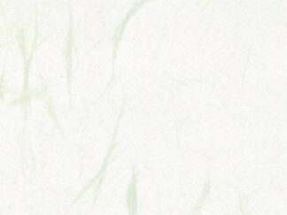 新大礼紙 華N ゴールド 110kg