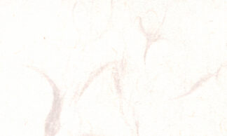 新大礼紙 華Ｎ パールピンク 110kg