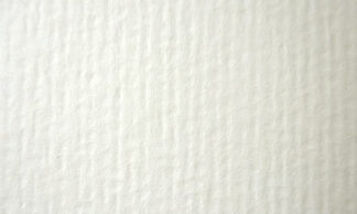 リ・シマメ 白 230kg